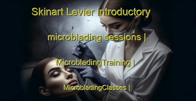 Skinart Levier introductory microblading sessions | MicrobladingTraining | MicrobladingClasses | SkinartTraining-France